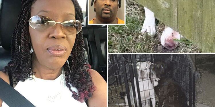 Texas man charged after 3 pit bulls fatally maul neighbor