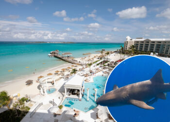 Travel warning issued for Bahamas over crime concerns, sharks
