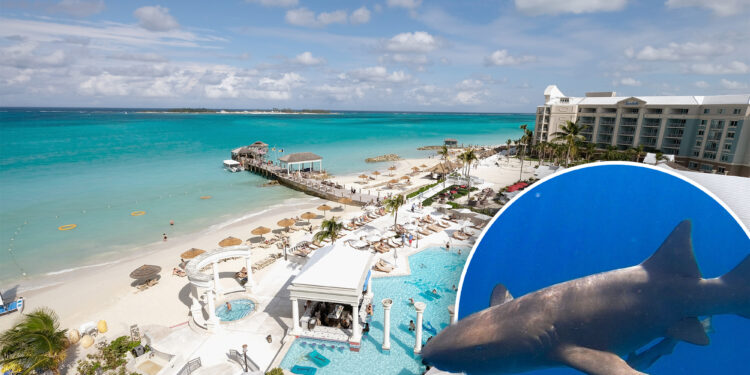 Travel warning issued for Bahamas over crime concerns, sharks