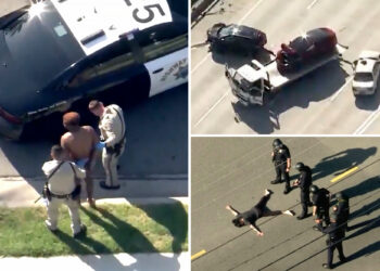 Videos show bizarre scenes from LA hit-and-run, arrest of boxer-clad suspect and Weezer wife shooting