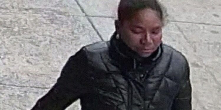 Surveillance footage of the suspect