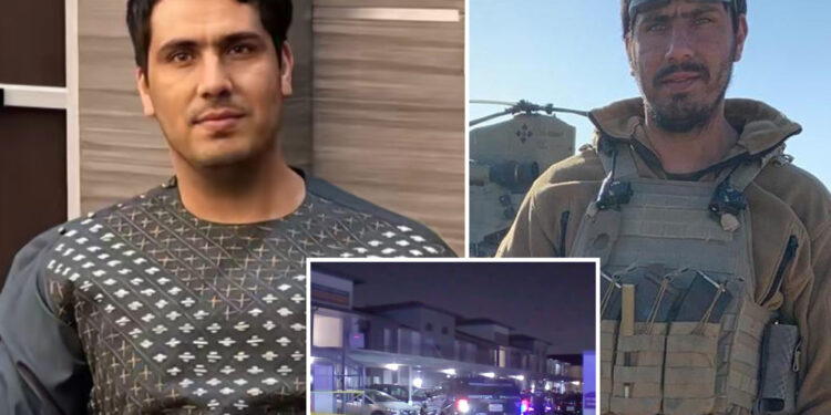 Afghan refugee who worked alongside US troops killed over a parking spot in Texas: cops