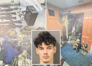 Damien Allen allegedly shared plans with school shooter Natalie Rupnow