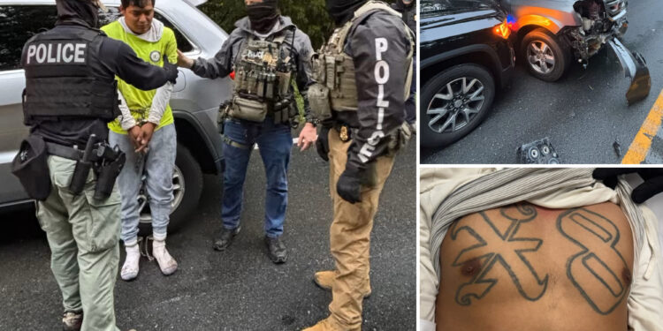 ICE busts Salvadoran gangbanger from violent 18th Street gang after wild car chase