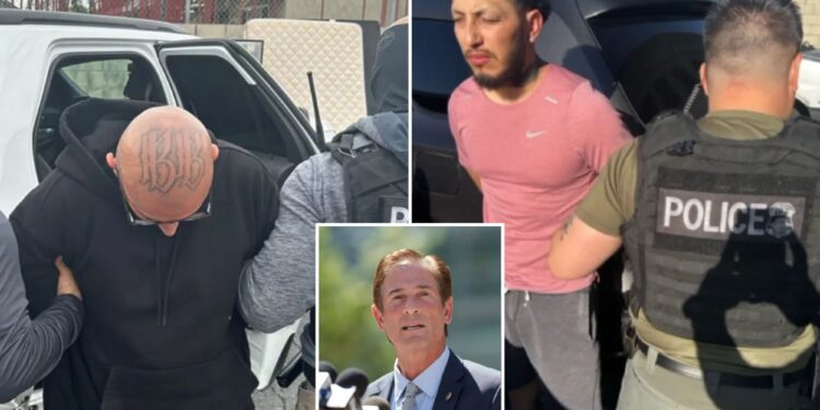 Los Angeles DA Nathan Hochman promises crackdown on illegal immigrants