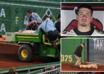 Man charged for allegedly giving alcohol to Pirates fan before fall from stands