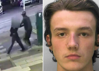 Man snatches woman off street at random caught on video