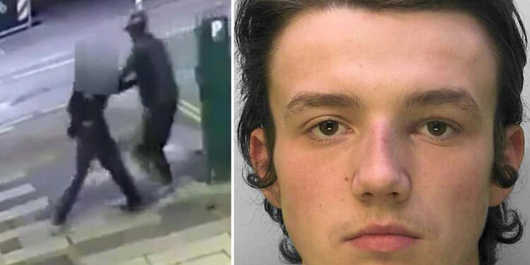 Man snatches woman off street at random caught on video