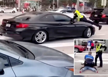 Miami police officer seen clinging to hood of car before shooting driver