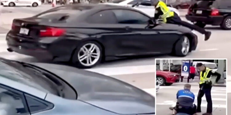 Miami police officer seen clinging to hood of car before shooting driver