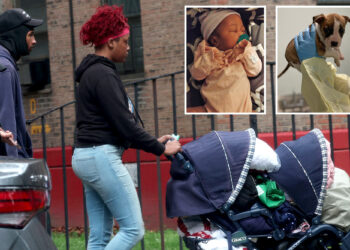 NYC newborn's family claims she died from SIDS after ME confirmed pit bull wasn't culprit