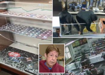 Pair of hammer-wielding, masked crooks steal thousands of dollars worth of Pokémon cards from 2 Detroit-area stores