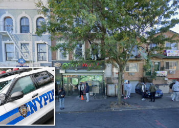 Stranger steals car NYC mom left running with 2-year-old boy inside, tot is saved when eagle-eyed cops pull over joyrider: police