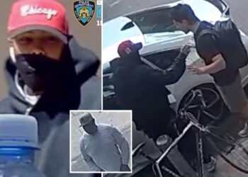 Dognapping duo snatch 2 French bulldogs from NYC home during string of violent heists: cops