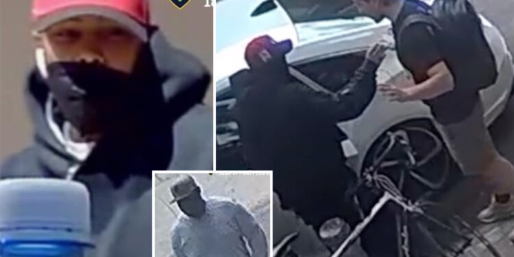 Dognapping duo snatch 2 French bulldogs from NYC home during string of violent heists: cops