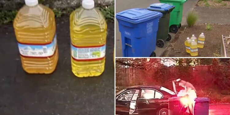 Mystery man leaving jugs of urine in Oregon recycling bins marking new territory, terrorized locals say