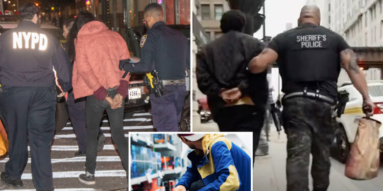 Nationwide retail crime crackdown leads to over 400 arrests at major chains