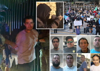 Since LA riots started, ICE has taken Molotov thrower, killer and child molester off the streets