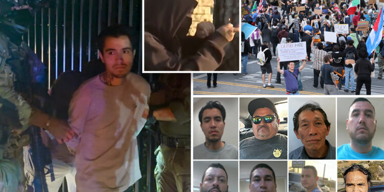 Since LA riots started, ICE has taken Molotov thrower, killer and child molester off the streets