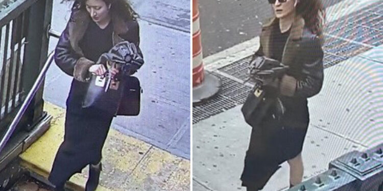 Stylish woman who flew into paparazzi rage, stabbed photographer with scissors in NYC is arrested: cops