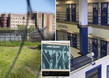 Venezuelan migrant who'd rather go to Rikers than face ICE likely won't stay out of feds' hands for long