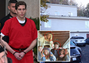 Bryan Kohberger fans insist he's innocent despite guilty plea deal