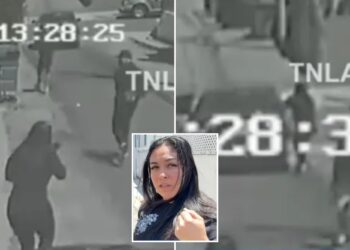 California mom Kiara Ortiz chases down burglary suspects, smashes window of getaway car with bare hand after catching them exiting her home