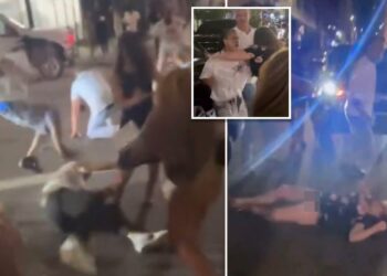 Disturbing video shows woman knocked out cold by jeering crowd in wild Cincinnati street brawl