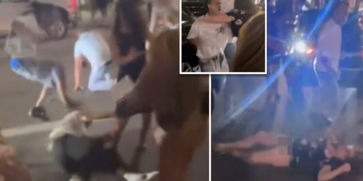 Disturbing video shows woman knocked out cold by jeering crowd in wild Cincinnati street brawl