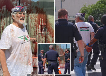 Former Toledo city council member Mike Ferner chucks cow's blood on US mission in gory stunt, but New Yorkers were unfazed