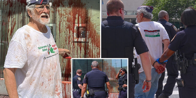 Former Toledo city council member Mike Ferner chucks cow's blood on US mission in gory stunt, but New Yorkers were unfazed