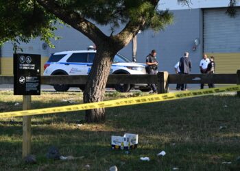A 21-year-old man was shot in the torso and buttocks and the second victim, 22, was blasted in the armpit and shoulder when bullets flew around 6 a.m. on Brush Avenue near Schley Avenue in Throggs Neck, just outside Ferry Point Park, police said.
