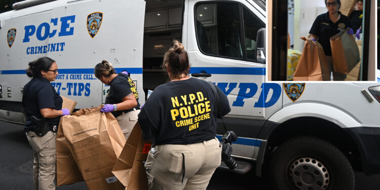 Irate NYC man accused of bashing longtime partner, 77, with pot and smothering her in fatal attack