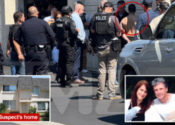 Junkie Raymond Boodarian accused of murdering 'American Idol' exec Robin Kaye once tried to stab his own mother