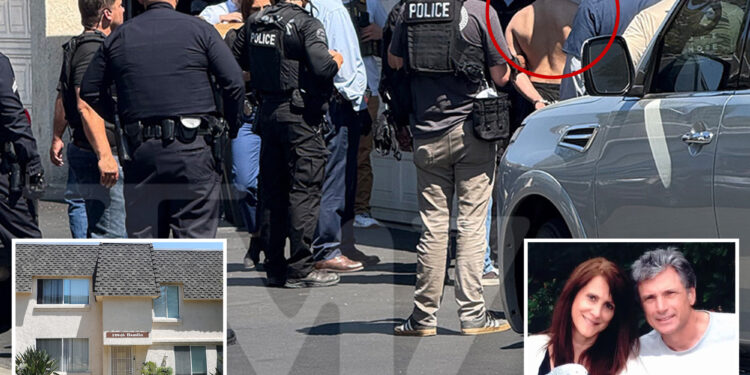 Junkie Raymond Boodarian accused of murdering 'American Idol' exec Robin Kaye once tried to stab his own mother