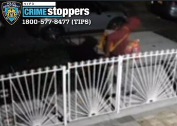 Isaiah K. Gurley, 29, was arrested for allegedly setting a pit bull on fire in a South Ozone Park street last week, cops said.