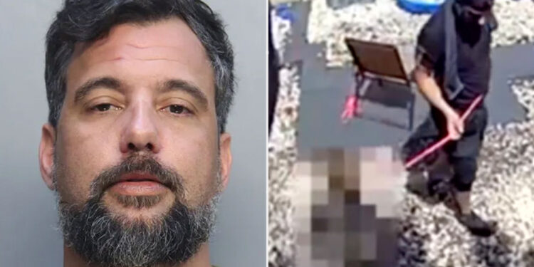 Marine vet violently kicks, yanks 6-year-old stepson on dog leash, disturbing video shows