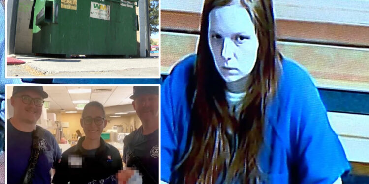 Nevada mom Taylor Dickinson accused of tossing newborn in dumpster said abandoning child in trash was her 'best option'