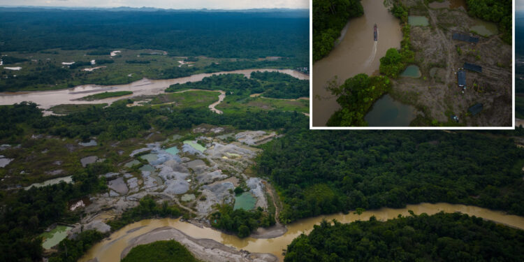 Over 90 arrests made during the environmental crime in the Amazon Basin