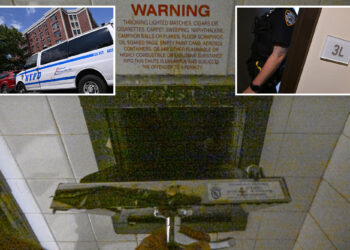 Parents of NYC girl, 1, thrown 3 floors down trash chute by uncle, 39, scrambled to rescue her: sources