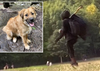 Prospect Park dog killer threatens to shoot animal's owner
