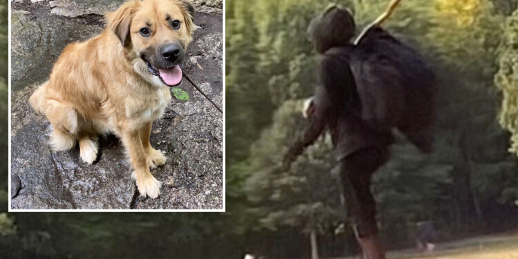 Prospect Park dog killer threatens to shoot animal's owner