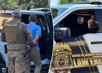 Smokey the Bear arrests man for allegedly stealing his signs in Florida to sell on Facebook