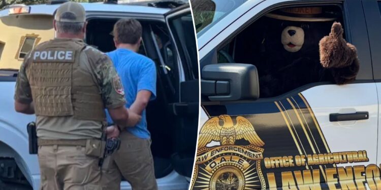 Smokey the Bear arrests man for allegedly stealing his signs in Florida to sell on Facebook