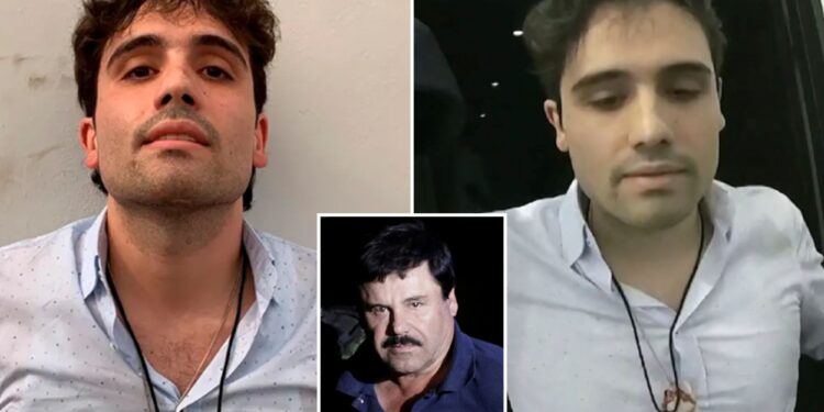 ‘El Chapo's’ son Ovidio Guzman Lopez to plead guilty in US drug trafficking case