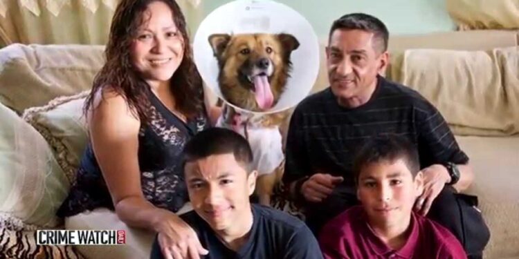 Crime Watch Daily: Hero Dog Takes Bullets for Family