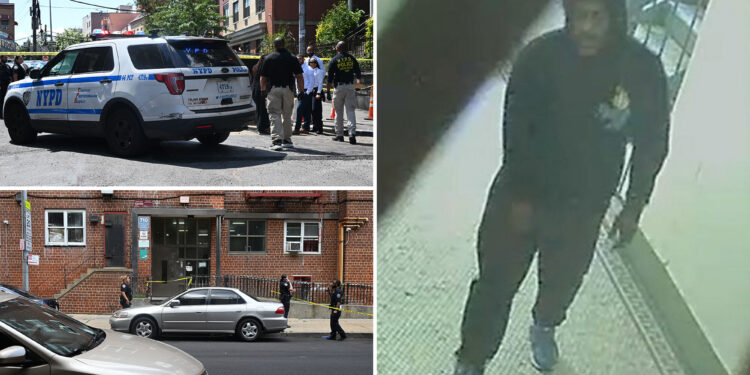 4 shot, 2 fatally, in 7-hour, broad-daylight stretch of violence in the Bronx: cops