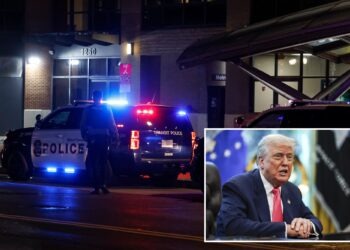 68 DC suspects arrested in one night amid Trump's push to 'clean up' capital city