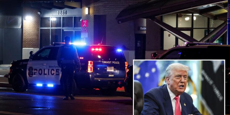 68 DC suspects arrested in one night amid Trump's push to 'clean up' capital city