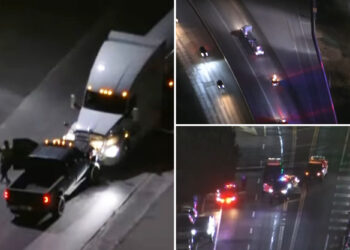 Carjack suspects lead LA cops on wild chase on live TV